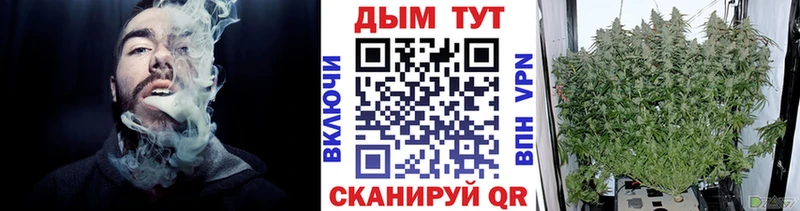Хочу наркоту Губкинский МАРИХУАНА  Галлюциногенные грибы  ГАШ  Меф  АМФ 