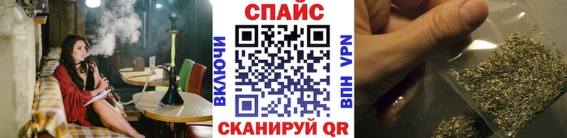 мориарти как зайти  Губкинский  Бутират BDO 