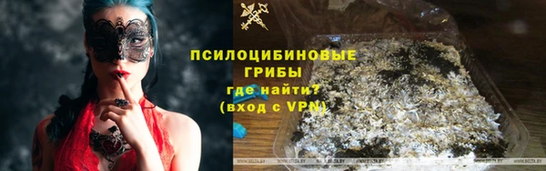 ГАЛЛЮЦИНОГЕННЫЕ ГРИБЫ Беломорск