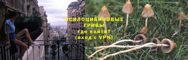 ГАЛЛЮЦИНОГЕННЫЕ ГРИБЫ Беломорск