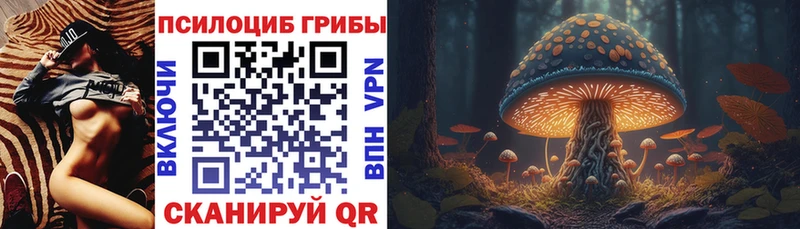 Галлюциногенные грибы мицелий  наркотики  Губкинский 